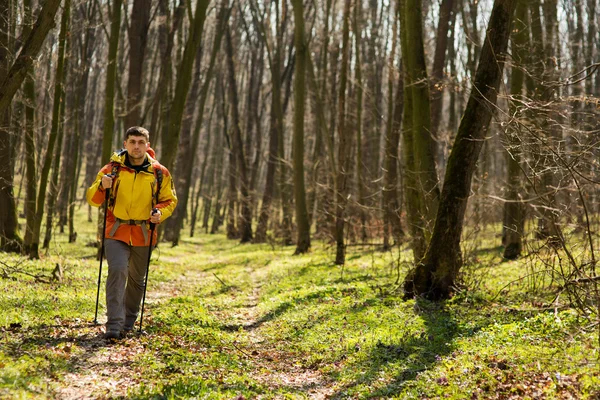 Erkek yürüyüşçü ormanda yürürken yan tarafa bakıyor.