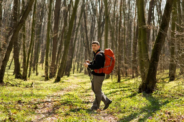 Mannelijke wandelaar kijkt naar de zijkant wandelen in het bos — Stockfoto