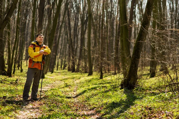 Mannelijke wandelaar kijkt naar de zijkant wandelen in het bos — Stockfoto