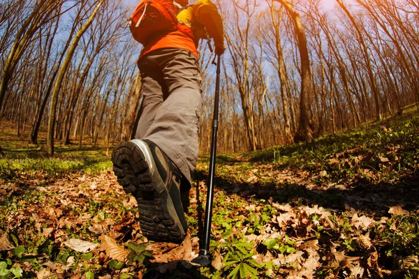 Manlig vandrare tittar åt sidan promenader i skogen — Stockfoto