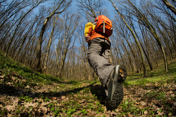 Male hiker looking to the side walking in forest