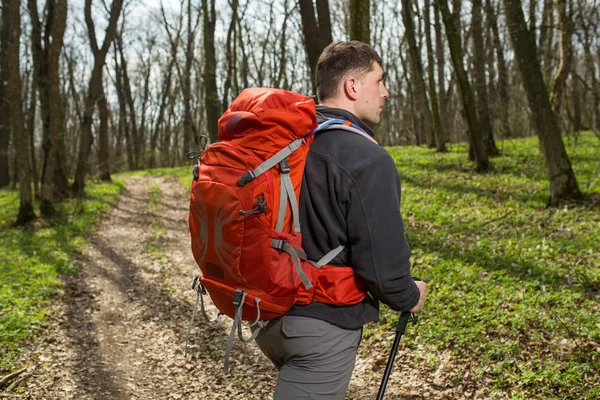 Mannelijke wandelaar kijkt naar de zijkant wandelen in het bos — Stockfoto