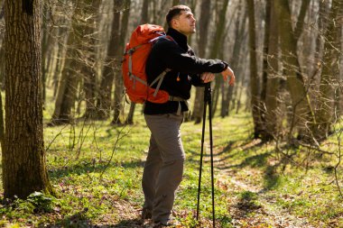 Aktif, sağlıklı bir adam güzel bir ormanda yürüyüş yapıyor.