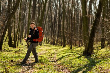 Aktif, sağlıklı bir adam güzel bir ormanda yürüyüş yapıyor.