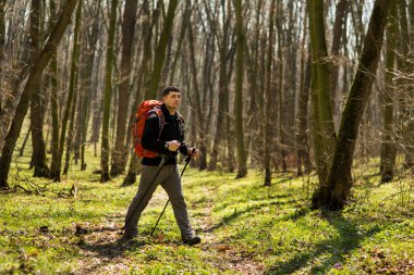 Aktif, sağlıklı bir adam güzel bir ormanda yürüyüş yapıyor.