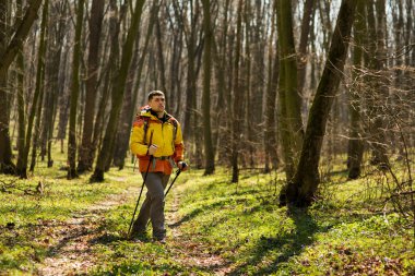 Aktif, sağlıklı bir adam güzel bir ormanda yürüyüş yapıyor.