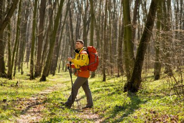 Aktif, sağlıklı bir adam güzel bir ormanda yürüyüş yapıyor.