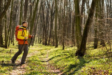 Aktif, sağlıklı bir adam güzel bir ormanda yürüyüş yapıyor.