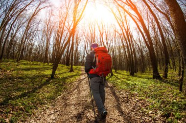 Erkek yürüyüşçü ormanda yürürken yan tarafa bakıyor.