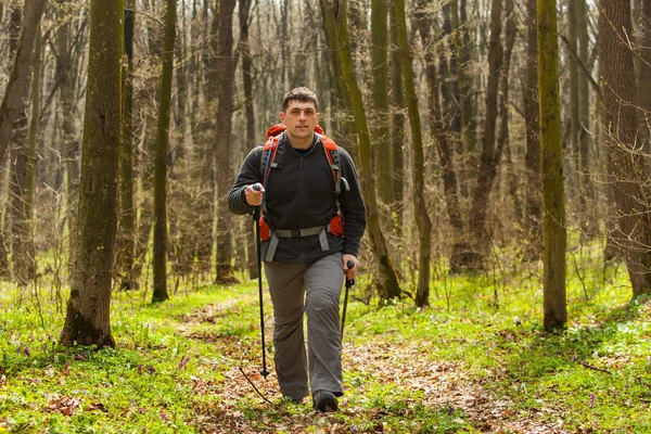 Mannelijke wandelaar kijkt naar de zijkant wandelen in het bos — Stockfoto