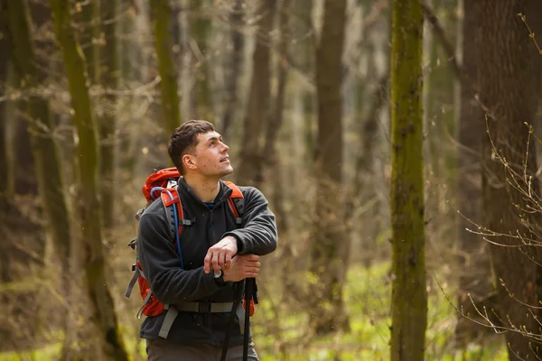 Caminante masculino mirando hacia un lado caminando en el bosque — Foto de Stock