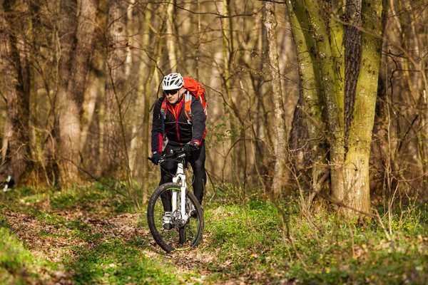 Bicicleta de montaña ciclista montar una sola pista — Foto de Stock