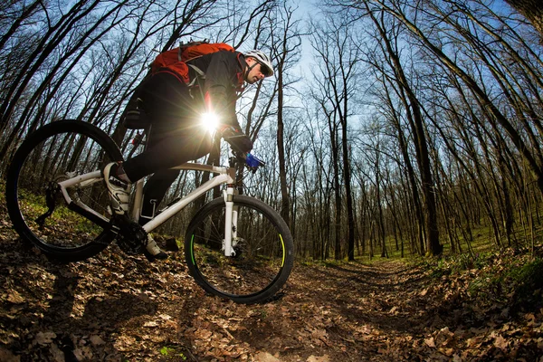 Cyclist Riding the Bike — Stock Photo, Image