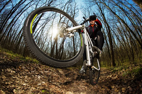 自転車、自転車に乗って — ストック写真