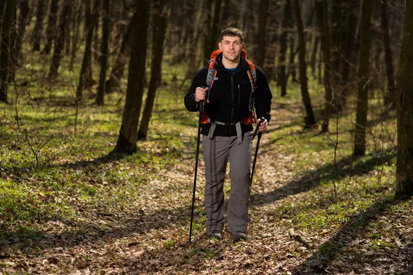 Actieve gezonde man wandelen in prachtig bos — Stockfoto