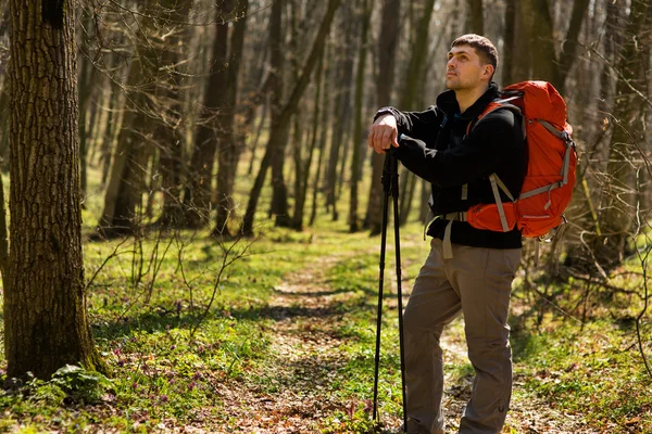Aktiver gesunder Mann beim Wandern im schönen Wald — Stockfoto