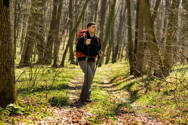 健美的男子在美丽的森林里徒步旅行 — 图库照片