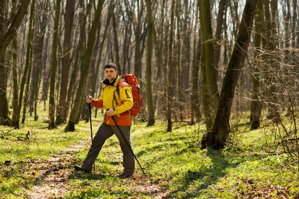 健美的男子在美丽的森林里徒步旅行 — 图库照片