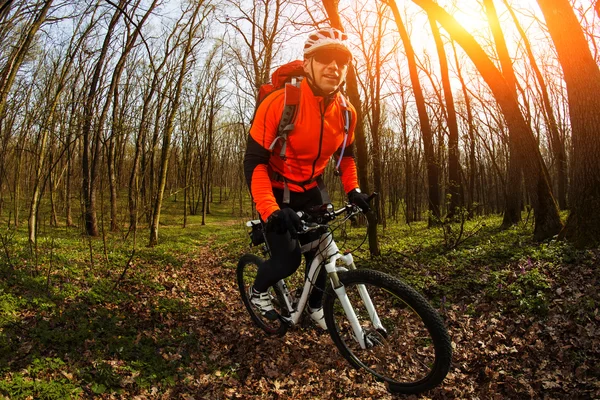 Radfahrer auf dem Fahrrad — Stockfoto