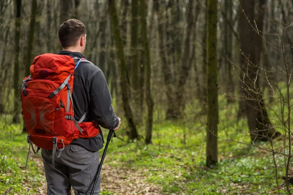 Mannelijke wandelaar kijkt naar de zijkant wandelen in het bos — Stockfoto