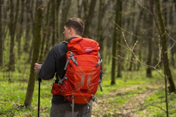 Männlicher Wanderer schaut im Wald zur Seite — Stockfoto