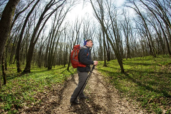 Mannelijke wandelaar kijkt naar de zijkant wandelen in het bos — Stockfoto