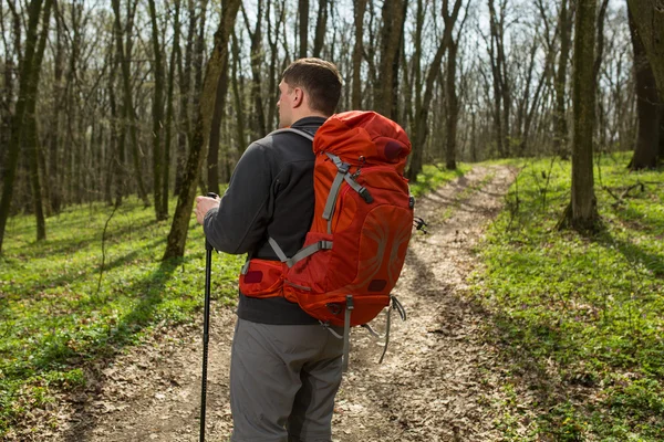 Mannelijke wandelaar kijkt naar de zijkant wandelen in het bos — Stockfoto