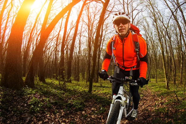 Adam bisikletçi bisiklet sürme