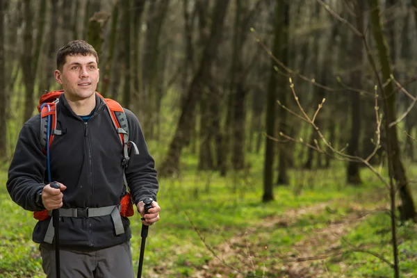 Caminante masculino mirando hacia un lado caminando en el bosque — Foto de Stock