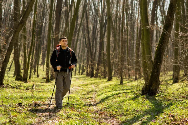 Férfi túrázó néz oldalra séta az erdőben — Stock Fotó