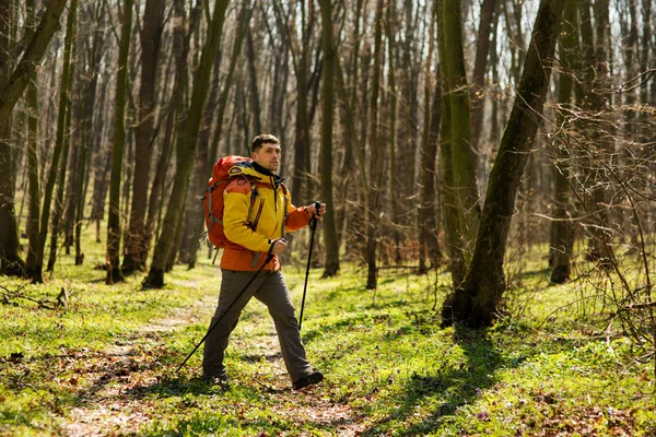 Muž turista hledá na straně procházky v lese — Stock fotografie