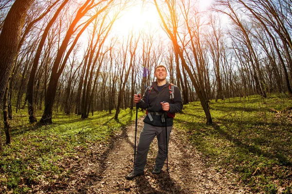 Caminhante masculino olhando para o lado andando na floresta — Fotografia de Stock