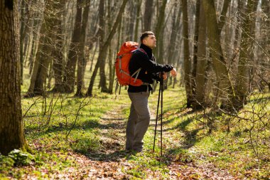 Hiking kullanan adam Polonyalılar açık havada ormanda sopa.