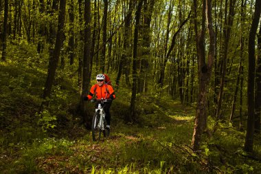 Güzel bahar ormandaki bisiklet sürme bisikletçi