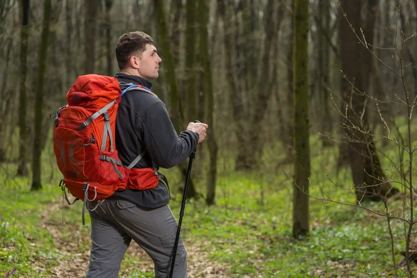 Männlicher Wanderer schaut im Wald zur Seite — Stockfoto