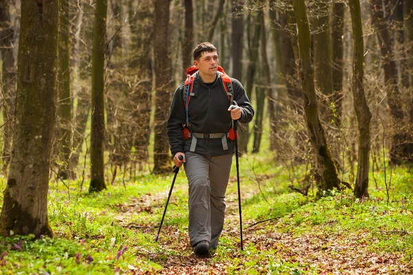 Manlig vandrare tittar åt sidan promenader i skogen — Stockfoto