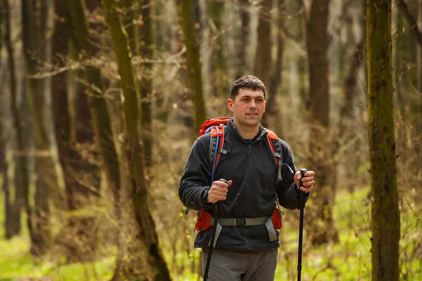 Erkek yürüyüşçü ormanda yürürken yan tarafa bakıyor.