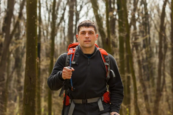 Caminante masculino mirando hacia un lado caminando en el bosque — Foto de Stock