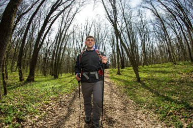 Aktif, sağlıklı bir adam güzel bir ormanda yürüyüş yapıyor.