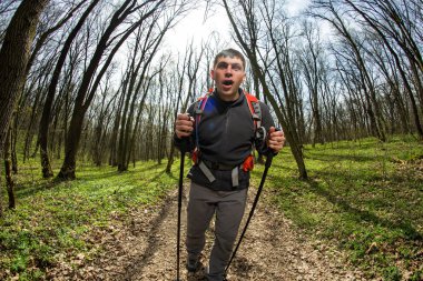 Aktif, sağlıklı bir adam güzel bir ormanda yürüyüş yapıyor.