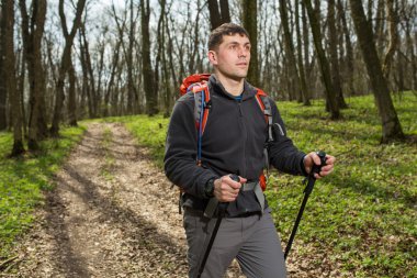 Aktif, sağlıklı bir adam güzel bir ormanda yürüyüş yapıyor.