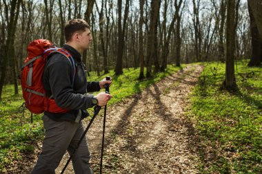 Aktif, sağlıklı bir adam güzel bir ormanda yürüyüş yapıyor.