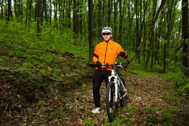 Bisikletçi bir iz yaz ormandaki bisiklet sürme