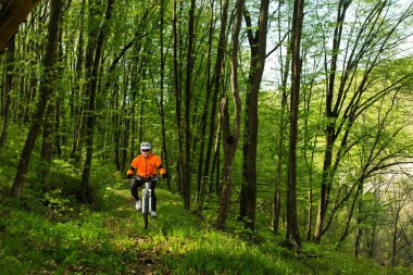Bisikletçi bir iz yaz ormandaki bisiklet sürme