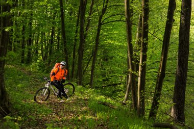 Bisikletçi bir iz yaz ormandaki bisiklet sürme