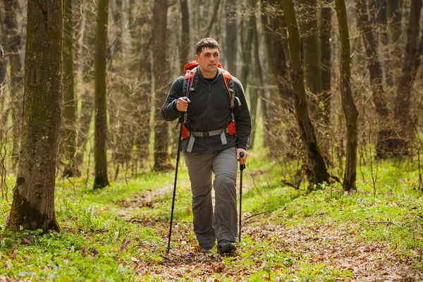 Aktív egészséges ember túrázás gyönyörű erdőben — Stock Fotó