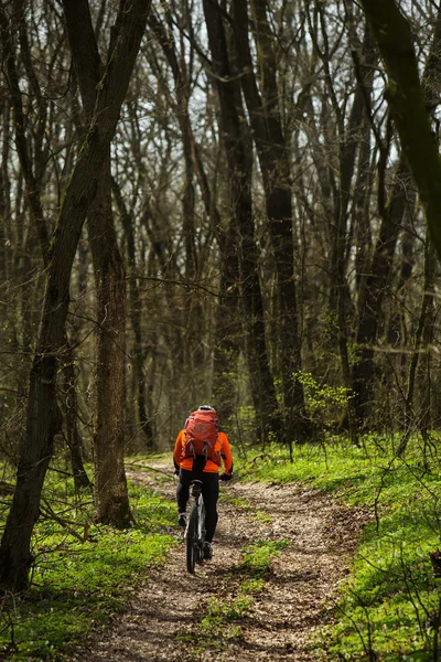 Ciclista montando en bicicleta en un sendero en el bosque de verano — Foto de Stock