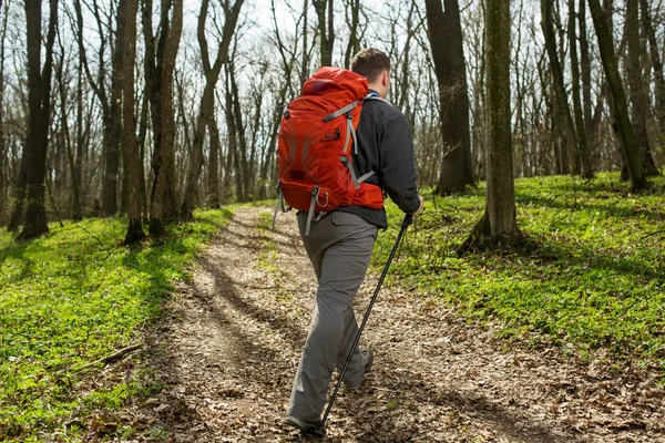 Attivo uomo sano escursioni nella bellissima foresta — Foto Stock