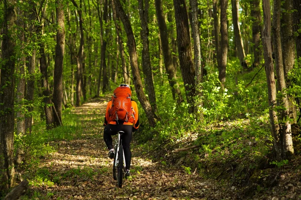 Cyklist ridning cykeln på ett spår i sommar skog — Stockfoto