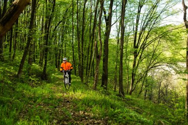 Bisikletçi bir iz yaz ormandaki bisiklet sürme